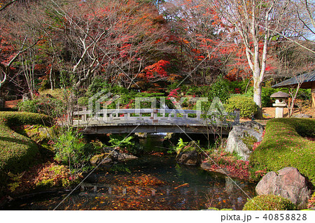 秋の翠楽苑（福島県・白河市） 40858828