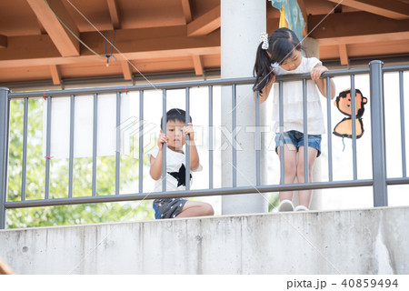 動物を見つめる子供 40859494
