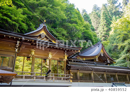 京都　緑あふれる貴船神社のお社 40859552