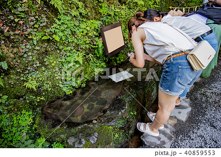 京都 貴船神社 水占おみくじをする女性たちの写真素材