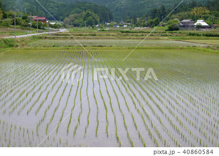 世界遺産　丹生都比売神社　天野の田園風景 40860584
