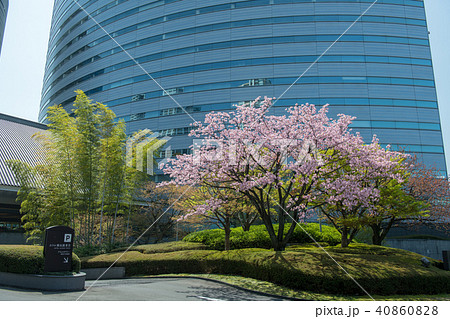 桜と目黒雅叙園・アルコタワー(東京都) 桜と目黒雅叙園・アルコタワー(東京都) 40860828