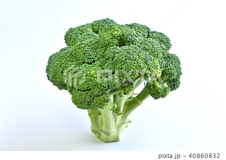 ブロッコリー 40860832