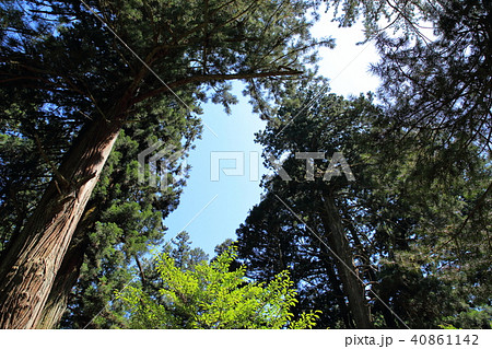 花園神社　花園渓谷　北茨城 40861142