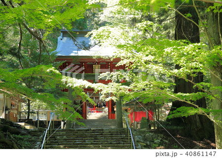 花園神社 花園渓谷 北茨城 花園神社 花園渓谷 北茨城 40861147