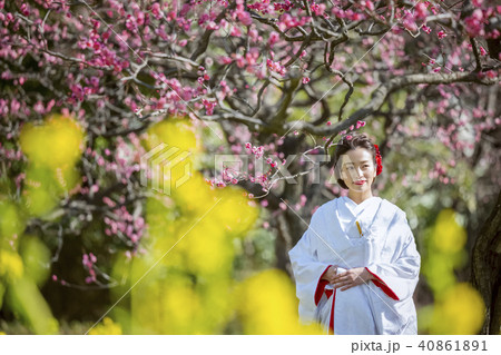 和装結婚式 花嫁 和装結婚式 花嫁 40861891