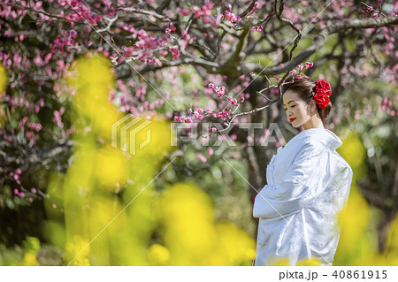 和装結婚式 花嫁 和装結婚式 花嫁 40861915