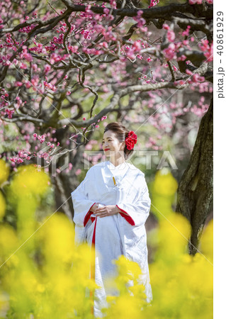 和装結婚式 花嫁 和装結婚式 花嫁 40861929