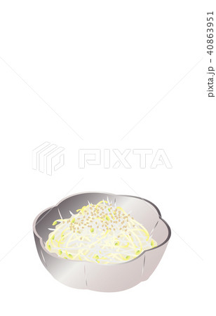 今日のご飯もやしのナムル 40863951