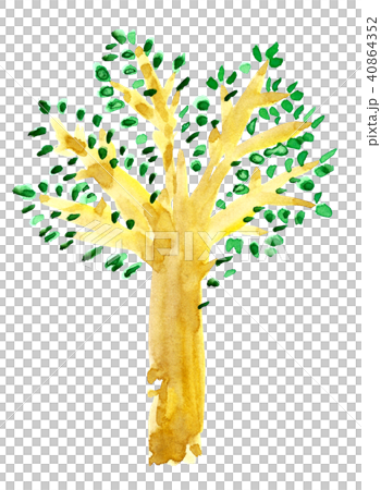 Large tree watercolor 40864352