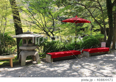和歌山城・西の丸庭園 和歌山城・西の丸庭園 40864471