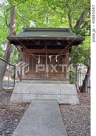 柴崎稲荷神社 柴崎稲荷神社 40865067