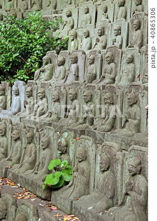 大圓寺 大圓寺 40865306