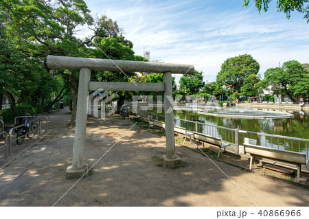 清水池公園 清水池公園 40866966