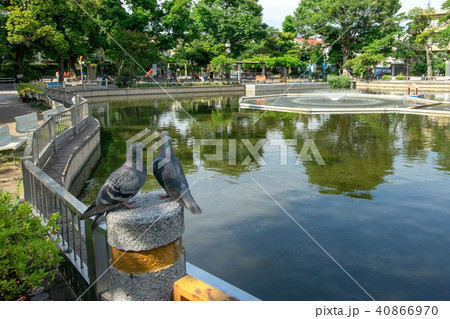 清水池公園 清水池公園 40866970