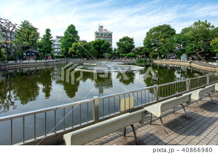 清水池公園 清水池公園 40866980
