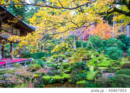 京都 大原三千院 客殿と聚碧園 京都 大原三千院 客殿と聚碧園 40867003