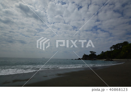 桂浜　の春　高知 40868123