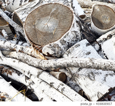 firewood 40868907