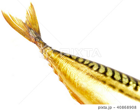 fish tail 40868908