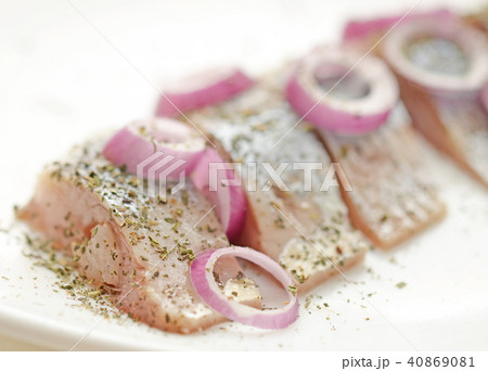 herring herring 40869081