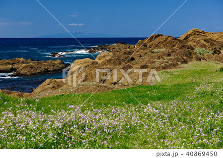 千葉県南房総市　白浜海岸　伊豆大島遠望 40869450