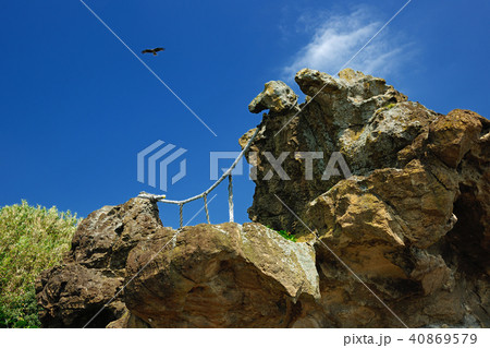 千葉県鴨川市 仁右衛門島 神楽岩 千葉県鴨川市 仁右衛門島 神楽岩 40869579