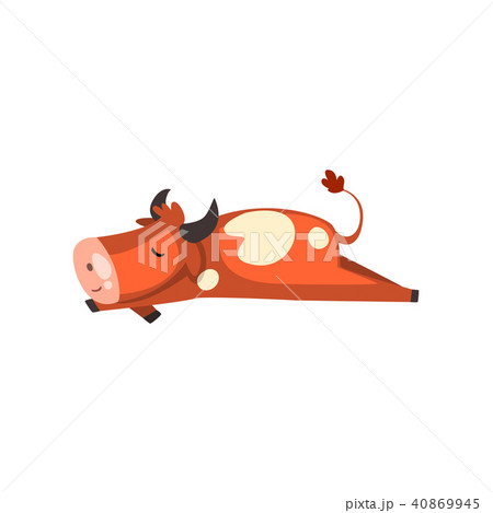 Cute brown spotted cow sleeping, funny farm animal cartoon character vector Illustration on a white 40869945