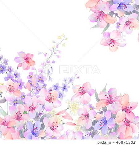 花 フラワー お花のイラスト素材 40871502 Pixta