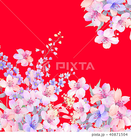 花 フラワー お花 40871504