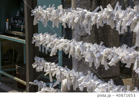 御神籤 本妙寺 御神籤 本妙寺 40871653