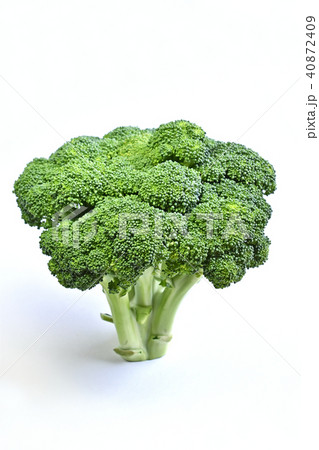 ブロッコリー ブロッコリー 40872409