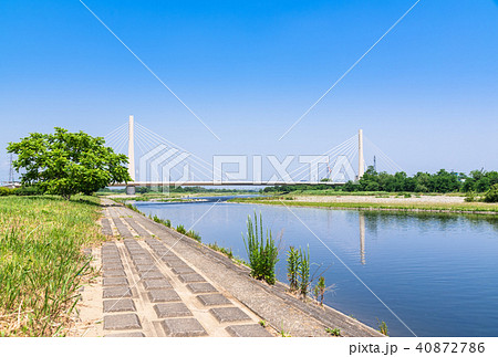 春の多摩川 府中四谷橋付近 春の多摩川 府中四谷橋付近 40872786