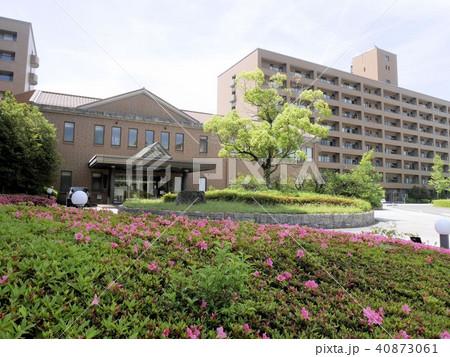 広島大学　教育学部　（東広島市西条町） 40873061