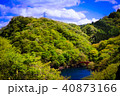 山 40873166