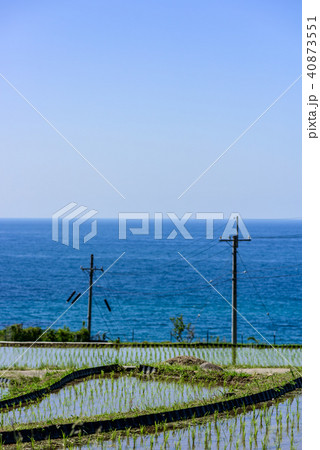 袖志の棚田 京都 袖志の棚田 京都 40873551