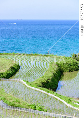 袖志の棚田 京都 袖志の棚田 京都 40873553