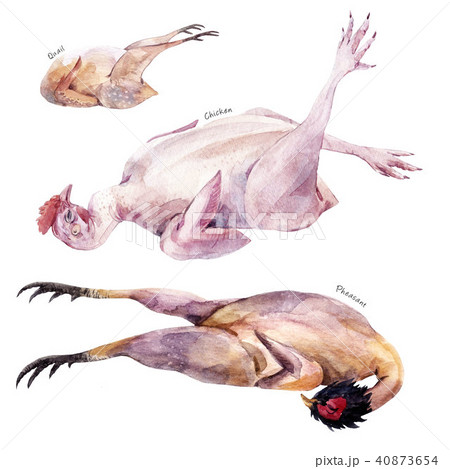 Watercolor meat composition 40873654