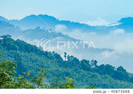 fog cover the trees in the Phang Nga valley fog cover the trees in the Phang Nga valley 40873688
