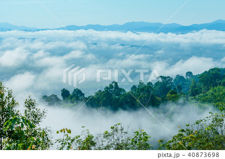 Mist in the morning cover on the top of the hill. Mist in the morning cover on the top of the hill. 40873698