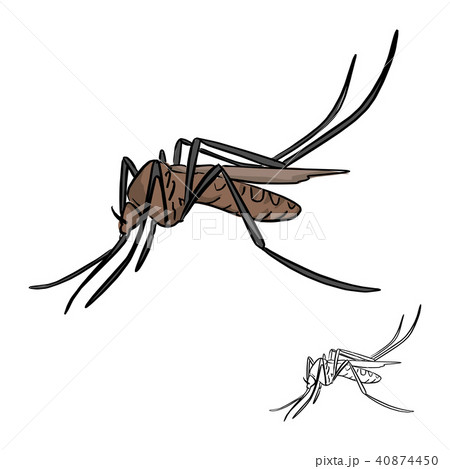 Brown Mosquito Vector Illustration Sketch Doodleのイラスト素材