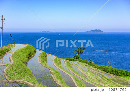 京都　伊根町　新井の棚田 40874762