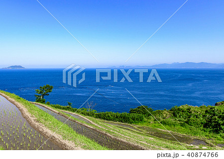 京都　伊根町　新井の棚田 40874766