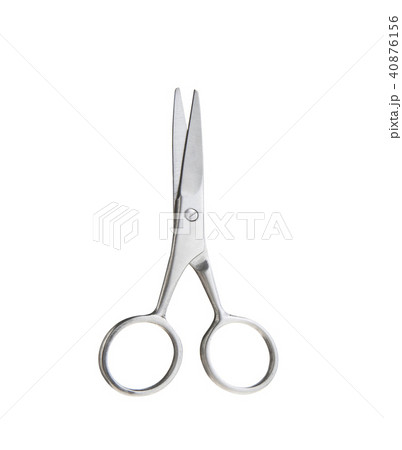 Professional Haircutting Scissors 40876156