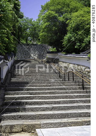 新緑の津山城 40876285