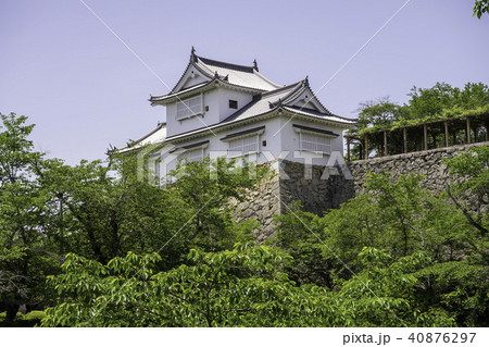 新緑の津山城 40876297