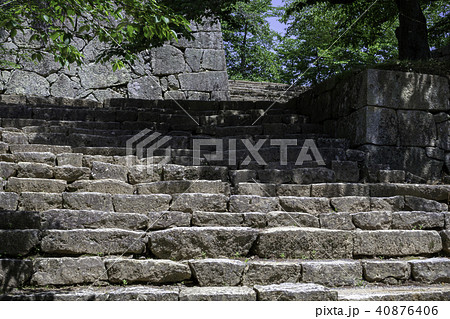 新緑の津山城 新緑の津山城 40876406