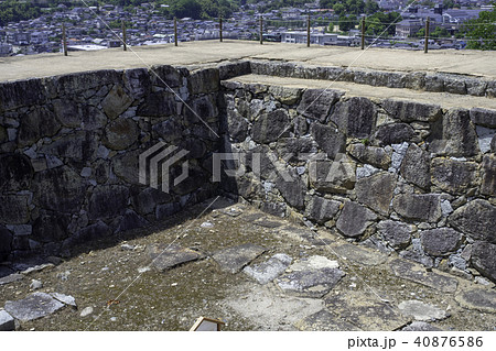 新緑の津山城天守跡 40876586