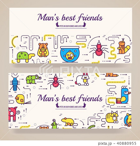 Animal vector brochure cards thin line set.  40880955