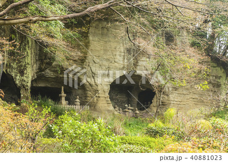 神奈川 鎌倉 報国寺の足利家時一族の墓 神奈川 鎌倉 報国寺の足利家時一族の墓 40881023